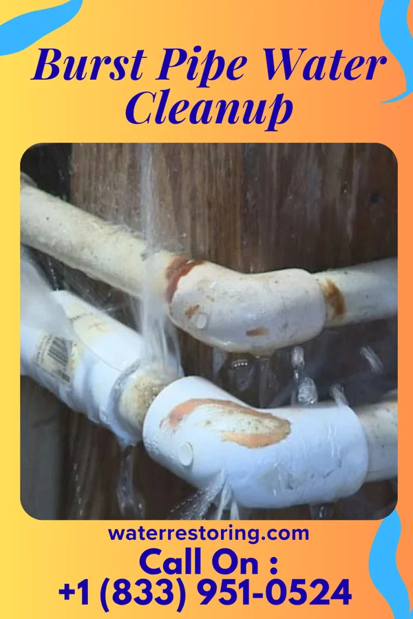 Burst Pipe Water Cleanup in Bethania, NC
