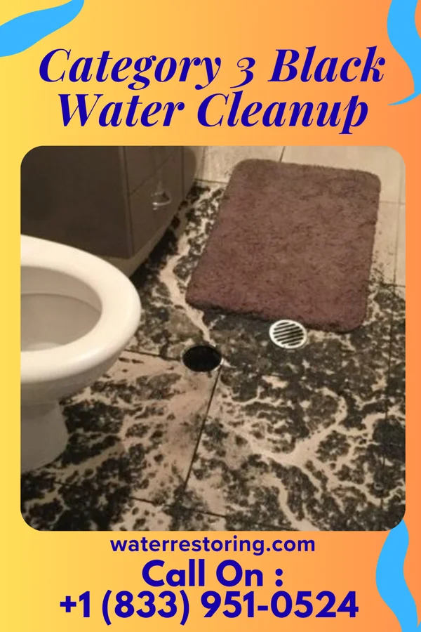 Category 3 Black Water Cleanup in Bethania, NC